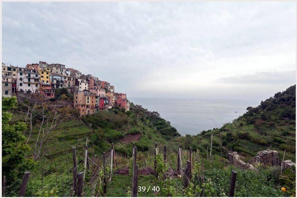New Hanging Garden Corniglia Kültér fotó